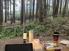 -重庆睡佛山森林公园