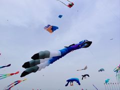 -潍坊滨海云门国际风筝放飞场