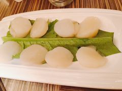 海鲜-四季火锅酒家(新濠影汇店)
