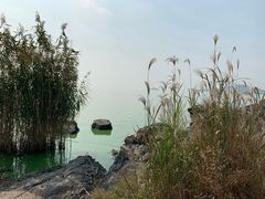 -上海市保健医疗中心