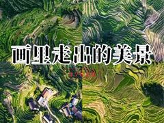 -紫鹊界梯田景区