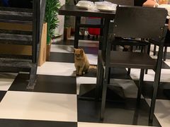 -乾坤饭店