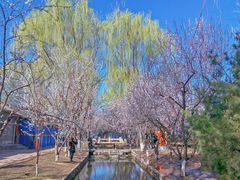 -三里河公园