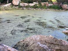 -莫子山公园