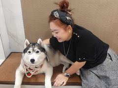 -星多哈·狗咖·拼豆·咖啡