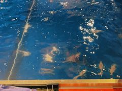 -钳真多钓虾馆·小龙虾海鲜烧烤(九六广场店)