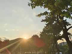 -白石龙音乐公园