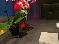 -茶人村·前滩江景雅宴(上海首店)