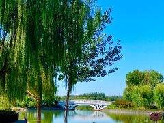 -大兴滨河森林公园