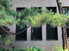 -熙古里艺术村