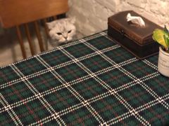 -不舍昼夜咖啡馆