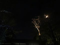 -大妙火锅·非物质文化遗产(东湖公园店)