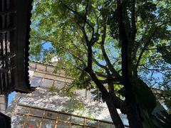 -四方小吃·白族庭院餐厅