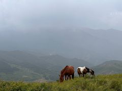 -灵山
