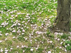 -春兰国宾馆(凤城河风景区老街店)