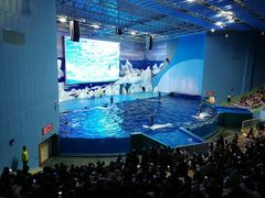 -福州罗源湾海洋世界旅游区