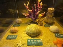 -梦幻海洋王国(吾悦广场张家港店)