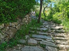 -阳台山自然风景区