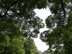 -延安杨家岭革命旧址