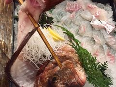 鲷鱼-ジャンボ釣船 つり吉(新世界店)
