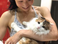 -柏萃动物医院·骨科·牙科
