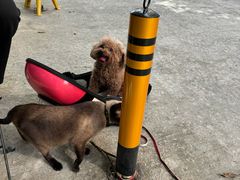 -几米咖啡(龙洲湾花园店)