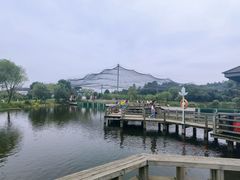 -鄱阳湖国家湿地公园
