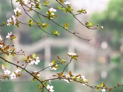-杭州温德姆至尊豪廷大酒店