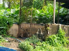 -红旗山庄(圭峰山店)