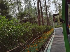 -合肥滨湖国家森林公园