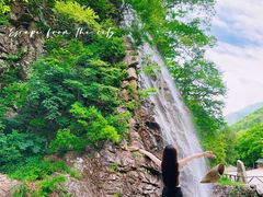 -龙道沟景区