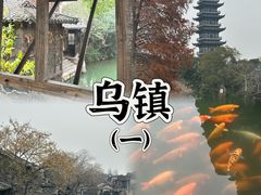 -乌镇西栅景区