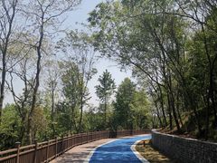 -六合国家地质公园桂子山景区