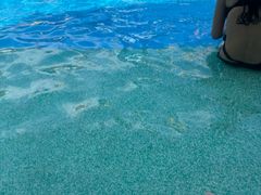 -杭州浪浪浪水公园