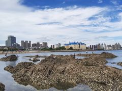 -黑石礁公园