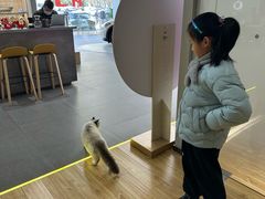-上海浦东smart汽车全功能店(金桥店)