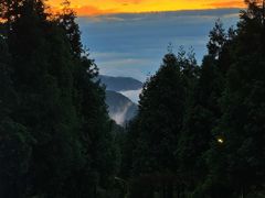 -重庆睡佛山森林公园