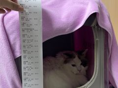 -谐和贝康宠物医院24小时·宠保定点(急重症转诊中心)
