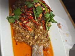 -杨氏青龙虾·羊蝎子(托乐嘉店)
