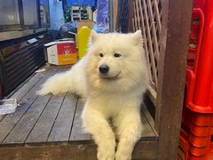 -枪火串烧·东北特色烧烤(罗湖总店)