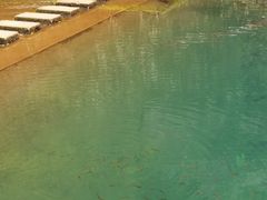 -白云源风景区