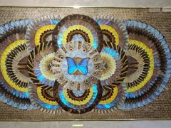 -上海昆虫博物馆