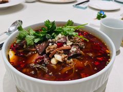 -蝶园·装修中(BFC外滩金融中心店)