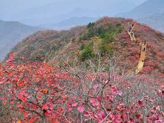 -香山公园