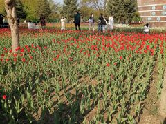 -长春公园(普阳街道)