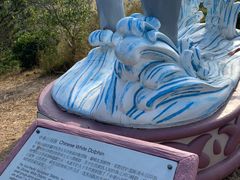 -大澳