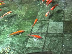 -惠食佳(滨江大公馆店)