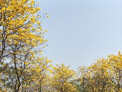-松山湖风景区松湖烟雨