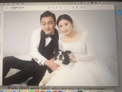 点击看大图 -青禾蒙娜丽莎婚纱摄影(武汉总店)