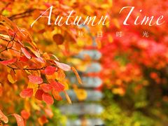 -周口店坡峰岭风景区